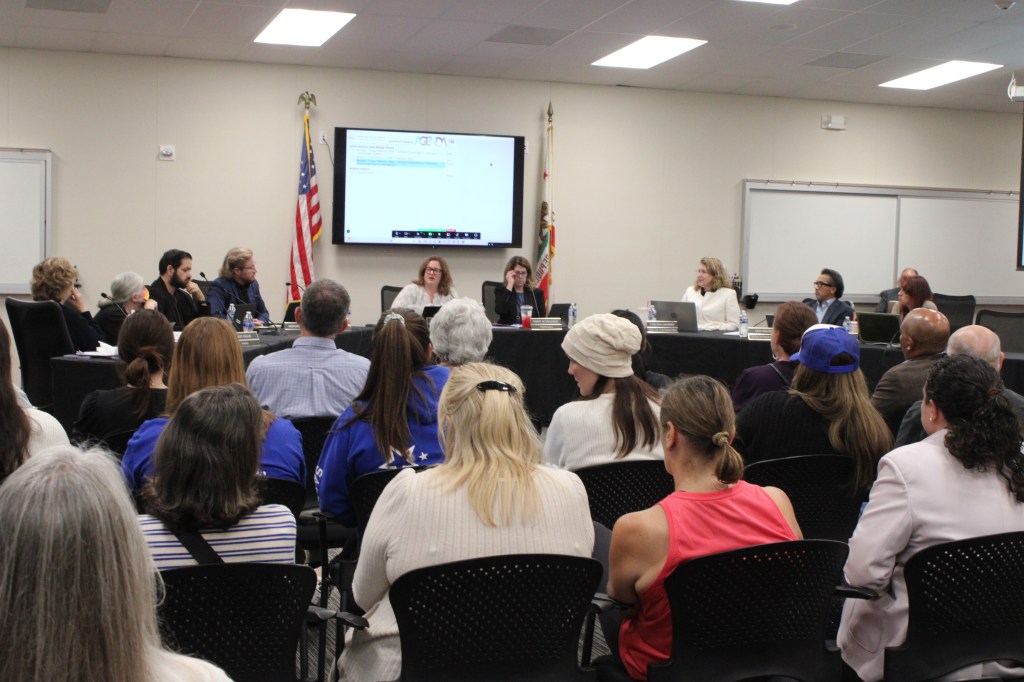 Board president Beth Erickson speaks to community members attending the meeting and those watching online.